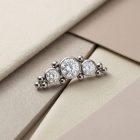 Cz Crown - TRM10355_2