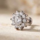 Cz Sunflower - TRM10263_1