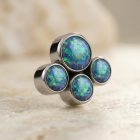 Opal Paw - TRM10376_2