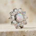 Opal Sunflower - TRM10264_2