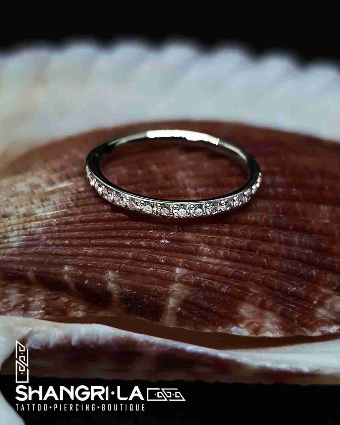 Conch
