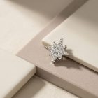 Northstar - TRM10074_2