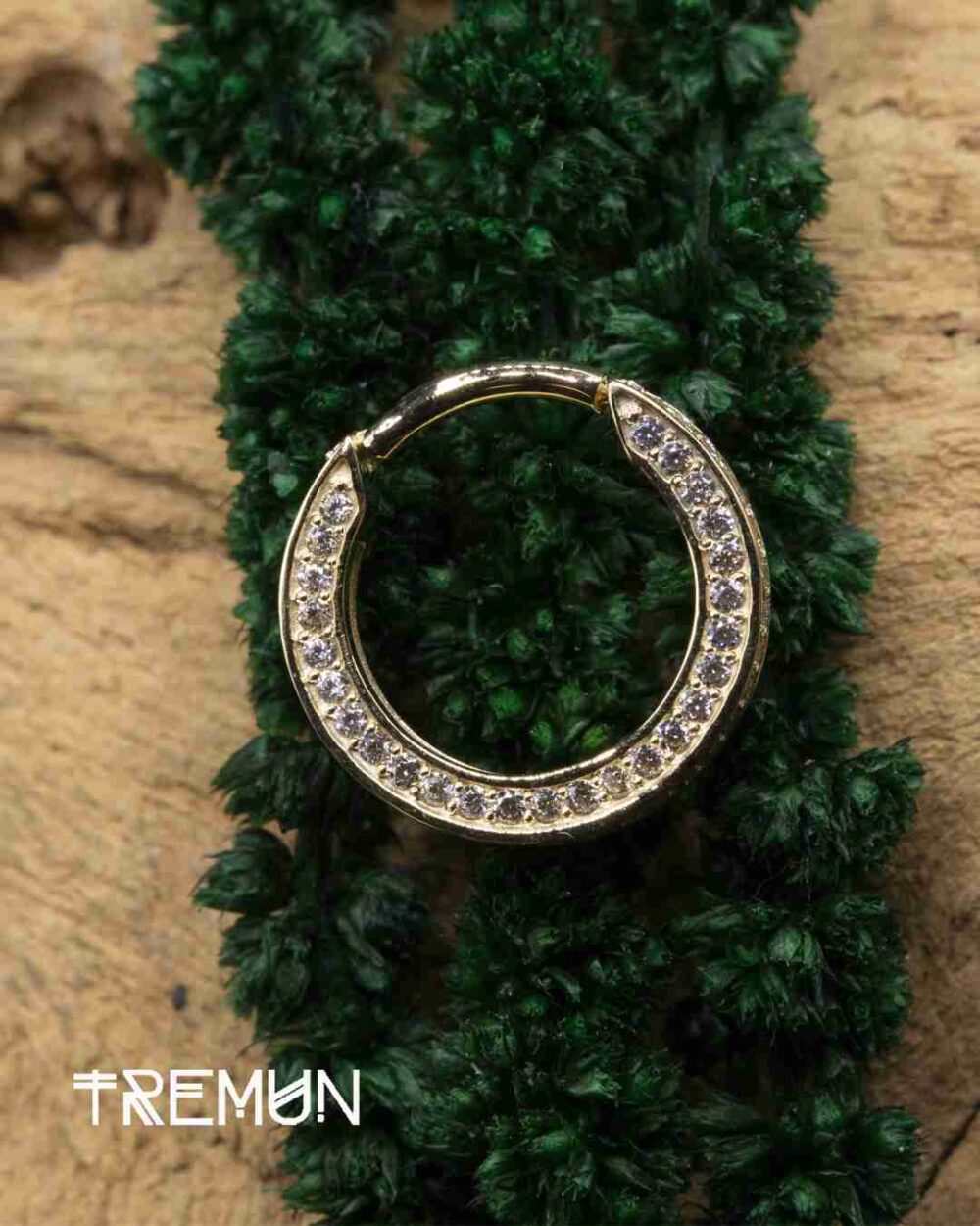Ecate hinged ring