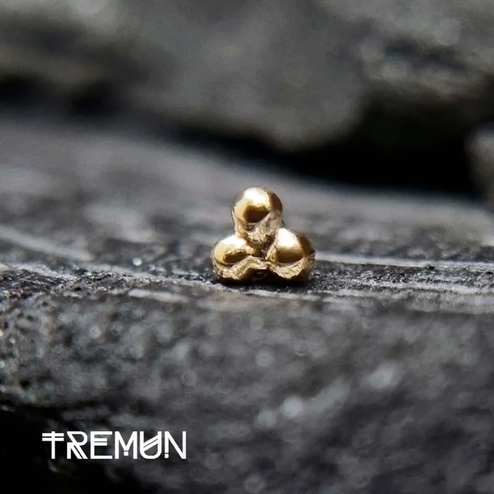 Tremun feed 12_12_11zon