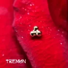 Tremun feed 35_35_11zon