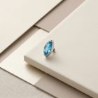 Prong Leaf Aqua - TRM10288_1