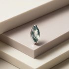 Prong Leaf Moss Agate - TRM10290_2