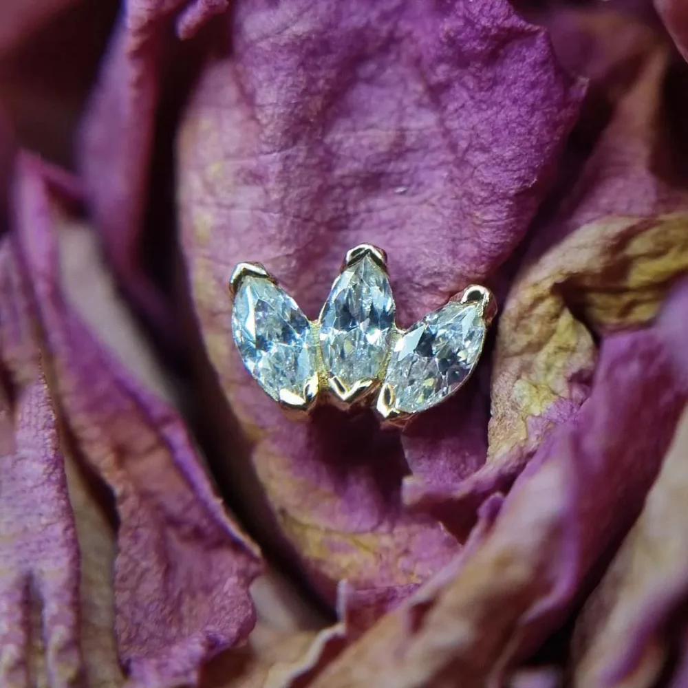 Elise piercing Jewelry