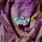 Elise piercing Jewelry