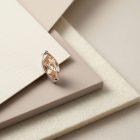 Prong Leaf Champagne - TRM10505_1
