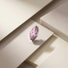 Prong Leaf Pink - TRM10503_1