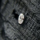 OVAL BEZEL (5)