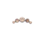 Cluster Champagne CZ