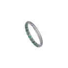 titanium ring