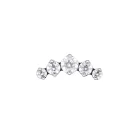 Prong Cluster